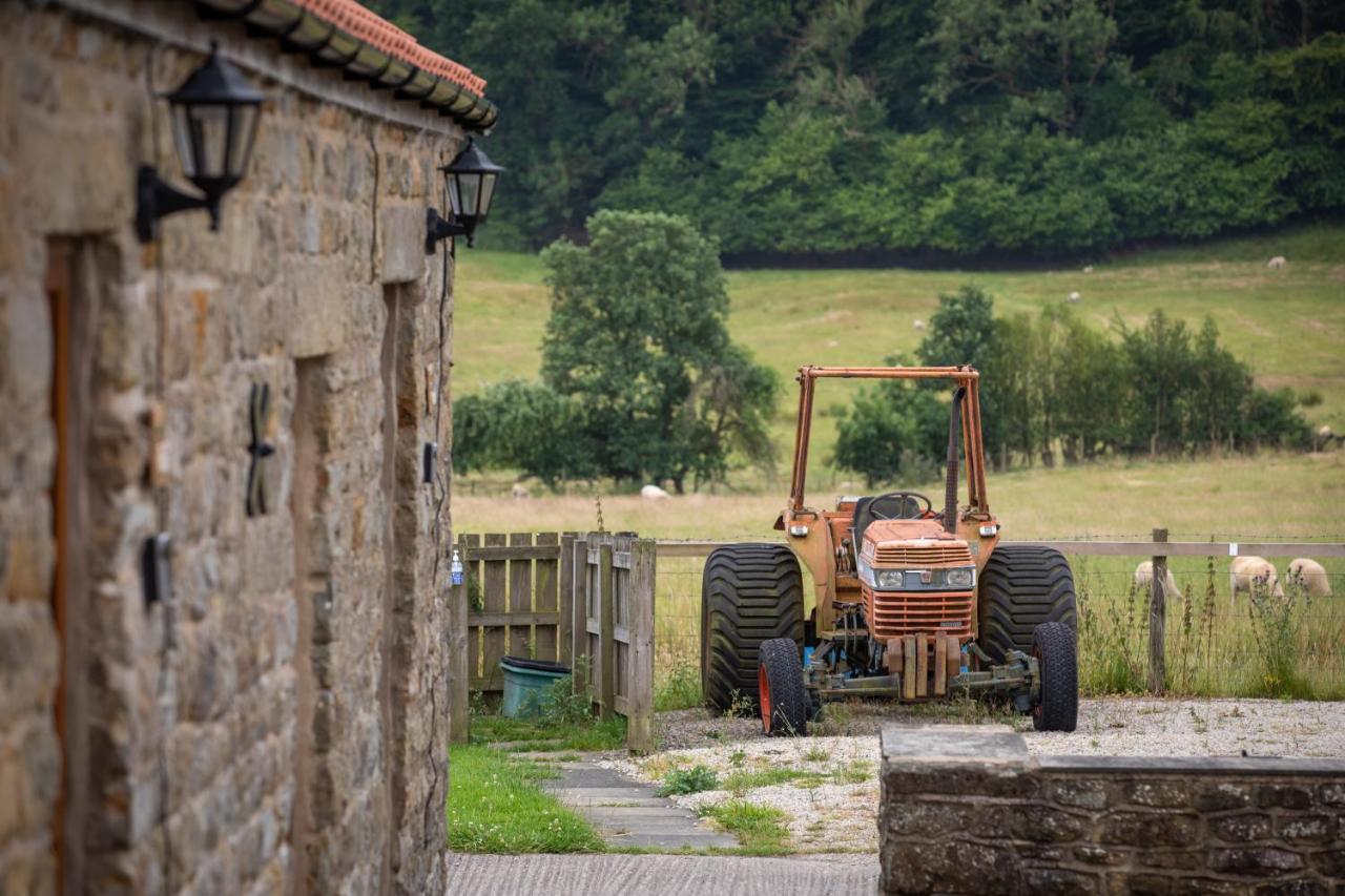 Rawcliffe House Farm Villa Pickering Bagian luar foto
