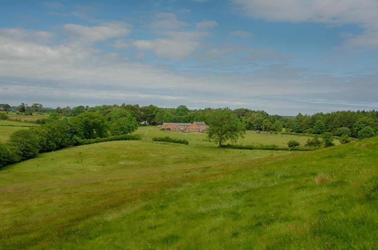 Rawcliffe House Farm Villa Pickering Bagian luar foto