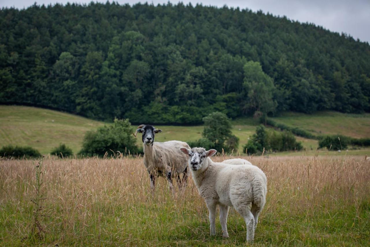 Rawcliffe House Farm Villa Pickering Bagian luar foto