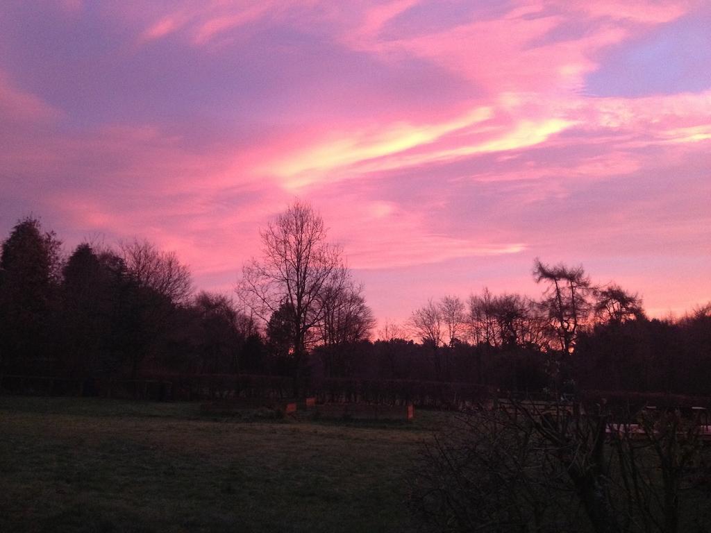 Rawcliffe House Farm Villa Pickering Bagian luar foto