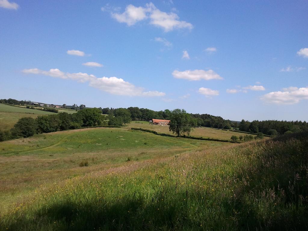 Rawcliffe House Farm Villa Pickering Bagian luar foto