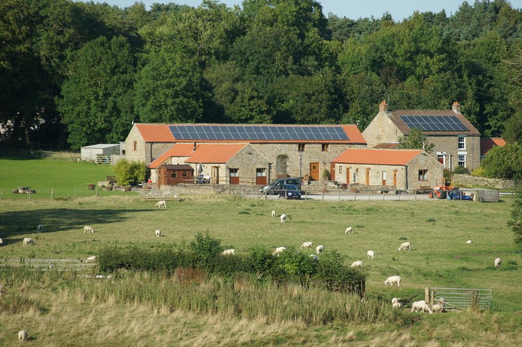 Rawcliffe House Farm Villa Pickering Bagian luar foto